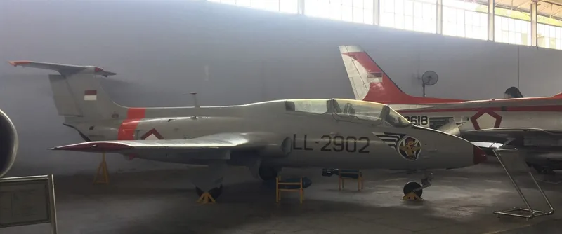 L-29“海豚”